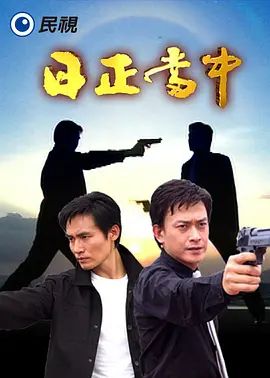 日正当中海报